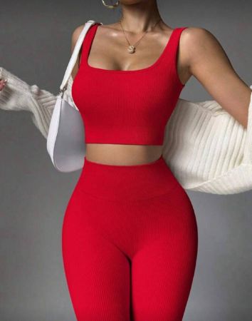 Gameset SHEIN Sport طقم رياضي مصنوع من تريكو مضلع وسلس للسيدات لتدريبات رأس السنة الصينية الجديدة ، بذلة رياضية للنساء في صالة الألعاب الرياضية